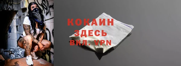 мет Няндома