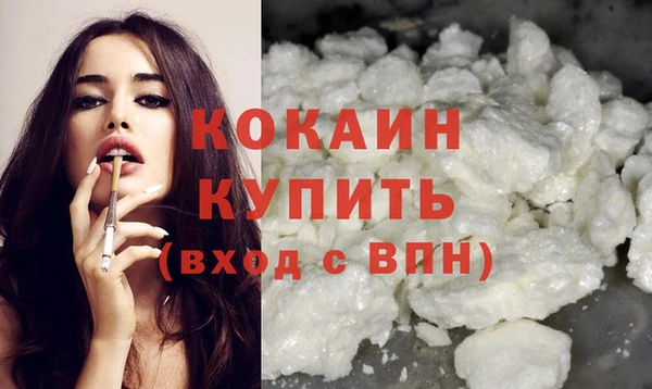 мет Няндома