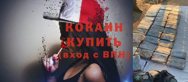 мет Няндома