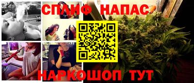 индика Беслан