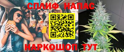 индика Беслан