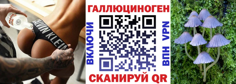 kraken рабочий сайт  купить наркотик  shop Telegram  Галлюциногенные грибы Magic Shrooms  Верхняя Салда 