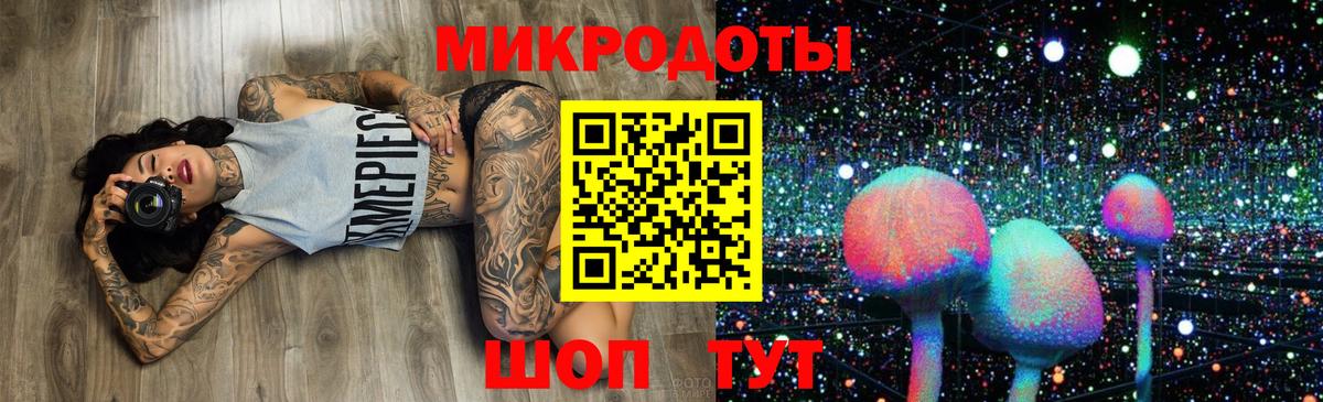 Галлюциногенные грибы Psilocybe  Верхняя Салда  дарнет шоп  Псилоцибиновые грибы Psilocybe 