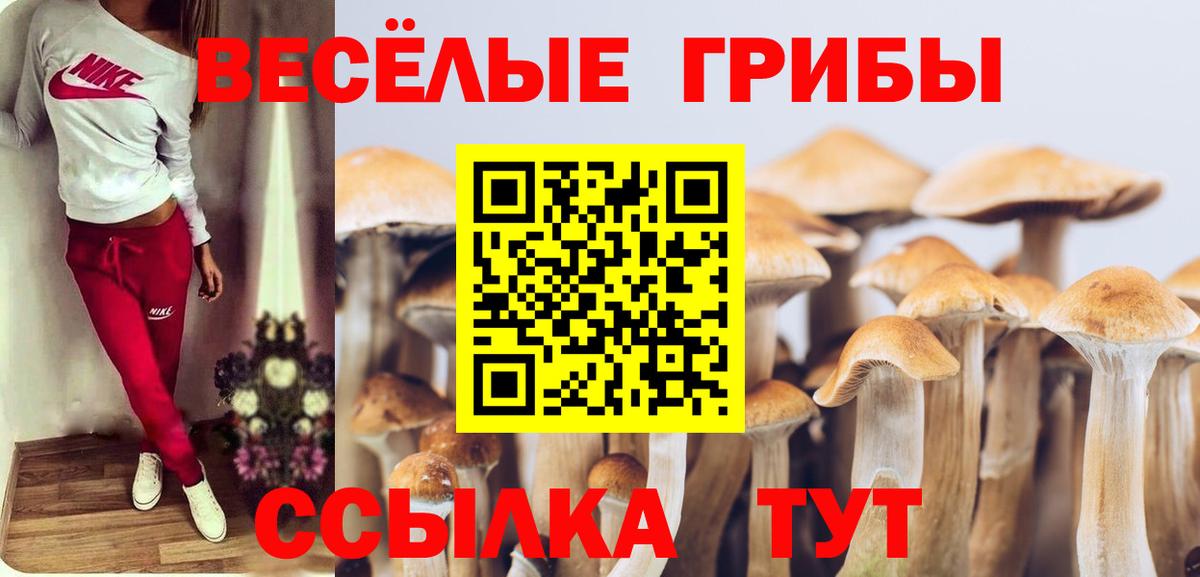 Псилоцибиновые грибы ЛСД  Вход с VPN  Верхняя Салда 